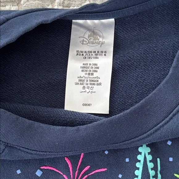 Disney Navy 2025 Castle Graphic Pullover Sweatshirt - Picture 3 of 3